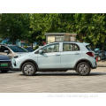 2023 Ny model Kinesisk brand Yudu Mnyd-Yt hurtig elbil EV til salg
